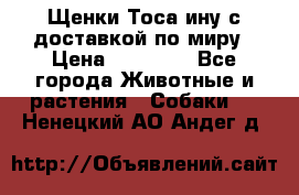 Щенки Тоса-ину с доставкой по миру › Цена ­ 68 000 - Все города Животные и растения » Собаки   . Ненецкий АО,Андег д.